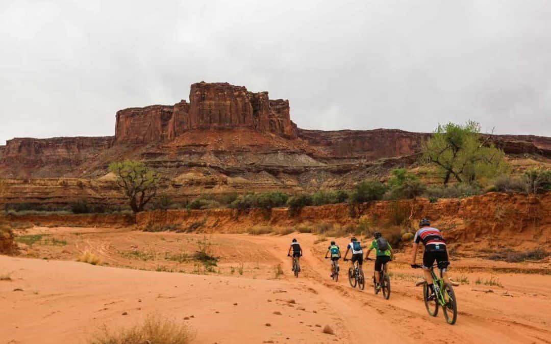 Searching for Mountain Bike Camps Near Me? 10 MTB Skills Camps to Look At!
