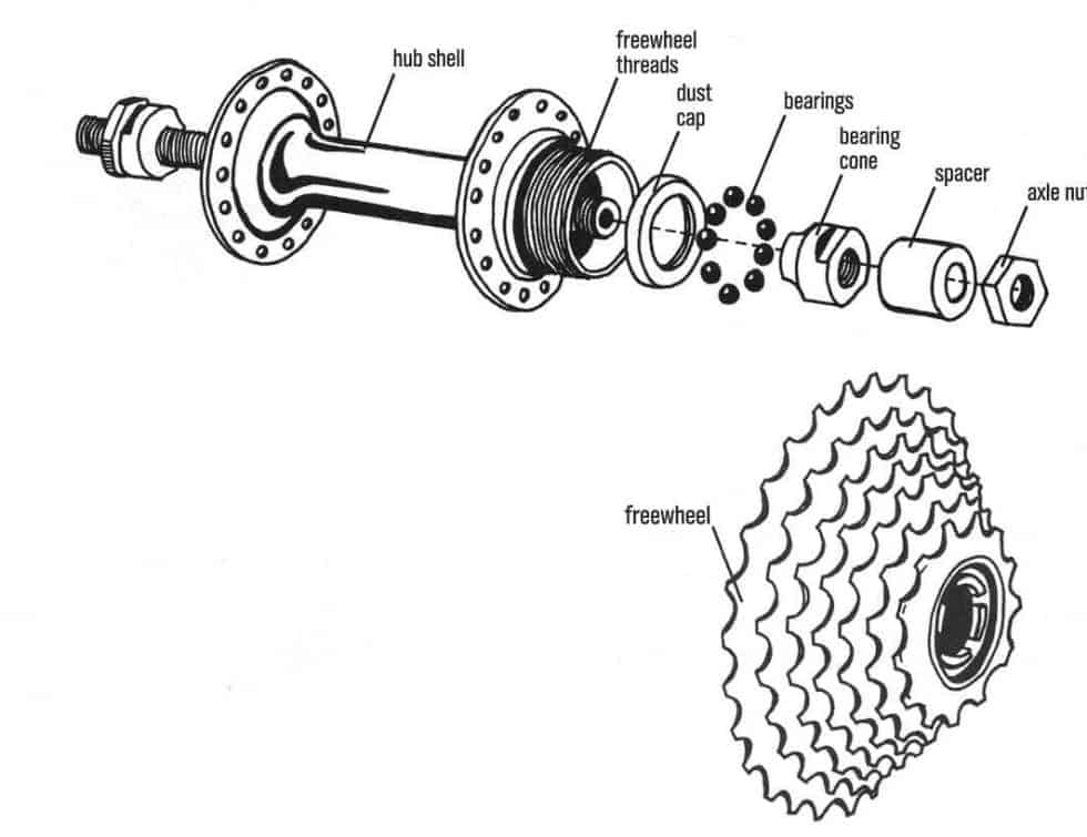 Freewheel vs Freehub (How Do I Know What I Have?) DIY Mountain Bike