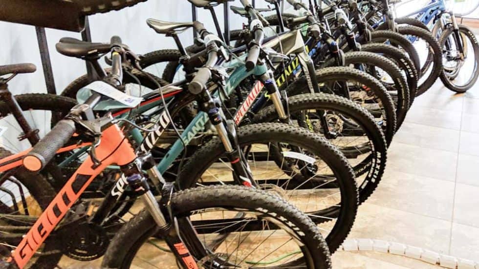 selecting a mountain bike